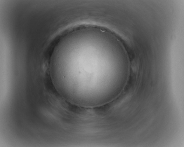 X0000113921495200910011501