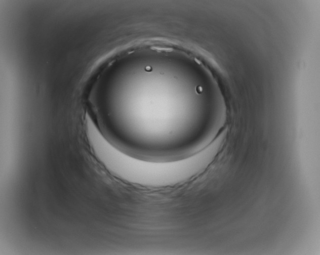 X0000113921496200910011501