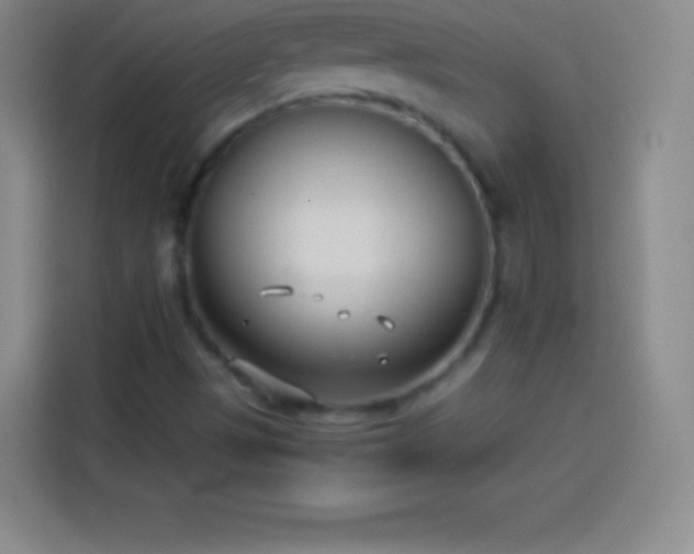 X0000113921497200910011501