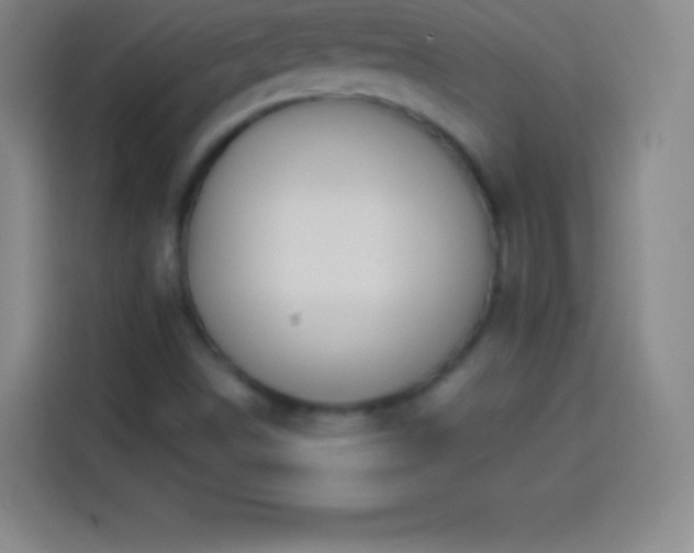 X0000113921498200910011501