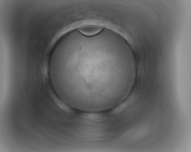 X0000113921499200910011501