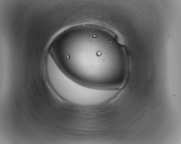 X0000113921500200910011501