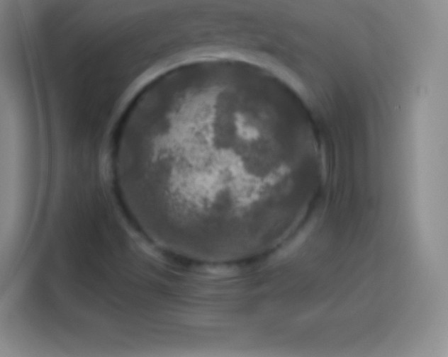 X0000113921501200910011501