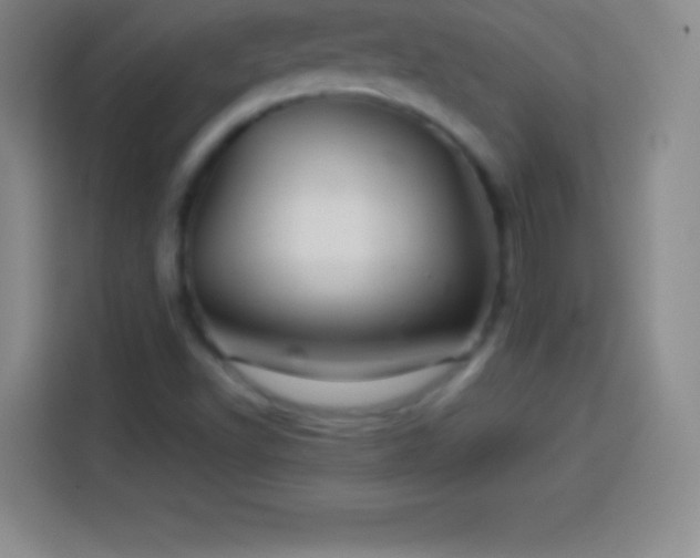 X0000113921502200910011501