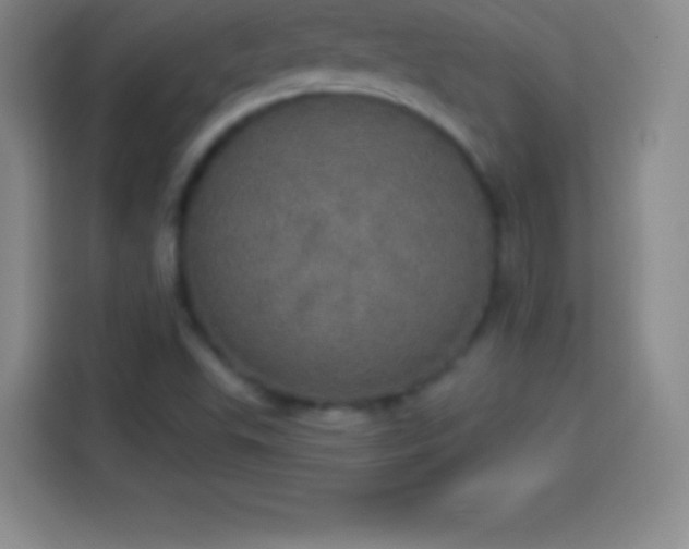 X0000113921503200910011501