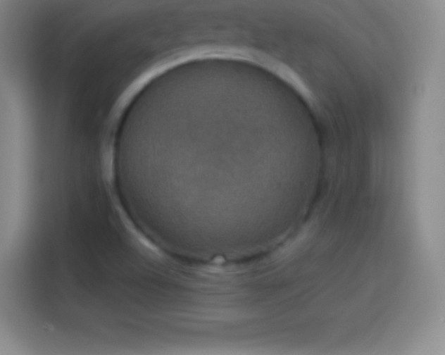 X0000113921504200910011501