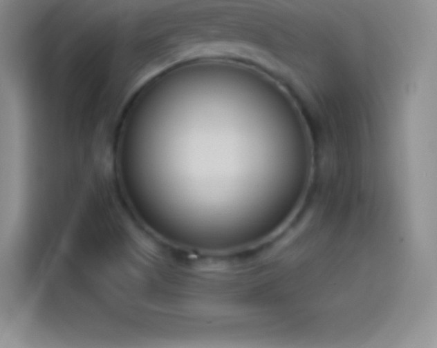 X0000113921505200910011501