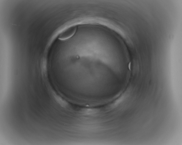 X0000113921506200910011501