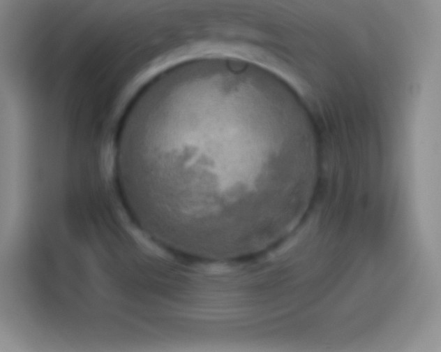 X0000113921507200910011501