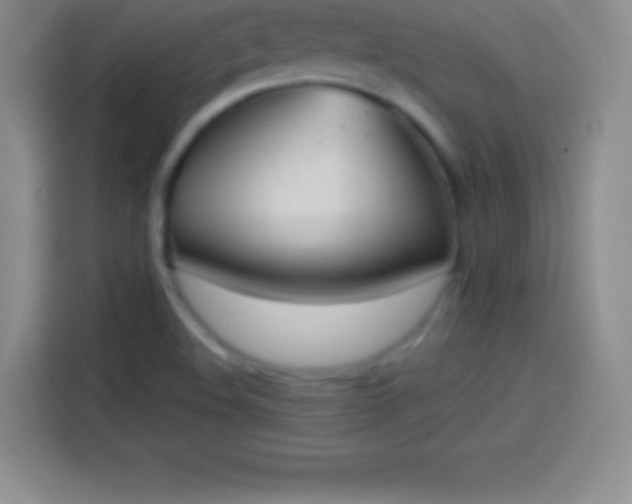 X0000113921508200910011501