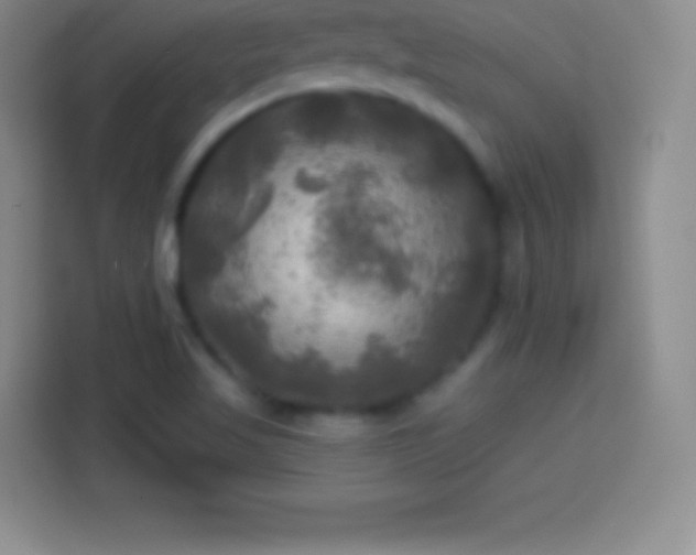 X0000113921509200910011502