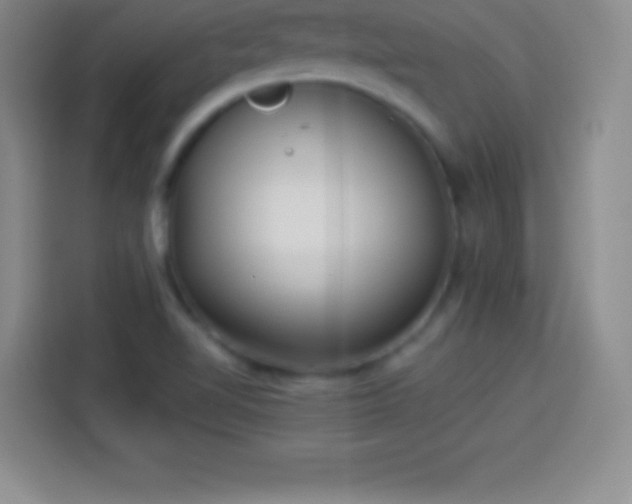 X0000113921510200910011502