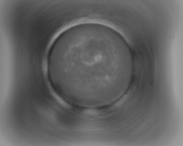 X0000113921511200910011502