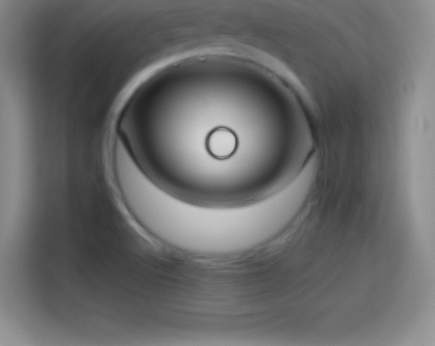 X0000113921512200910011502