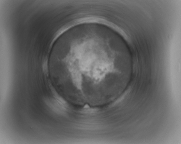 X0000113921513200910011502