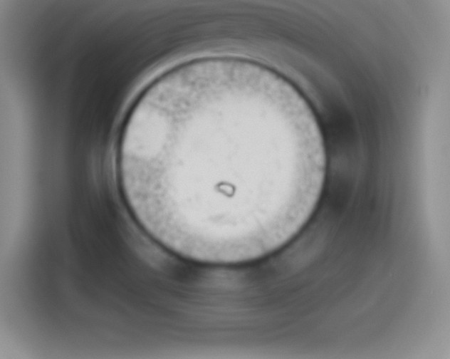 X0000113921514200910011502