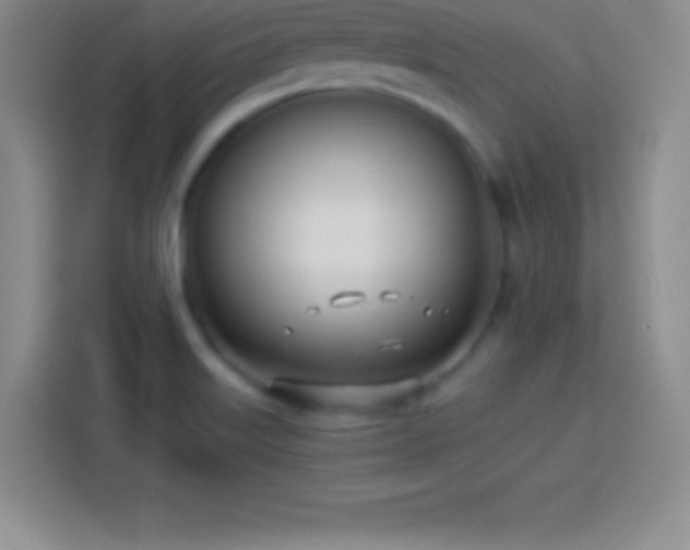 X0000113921515200910011502