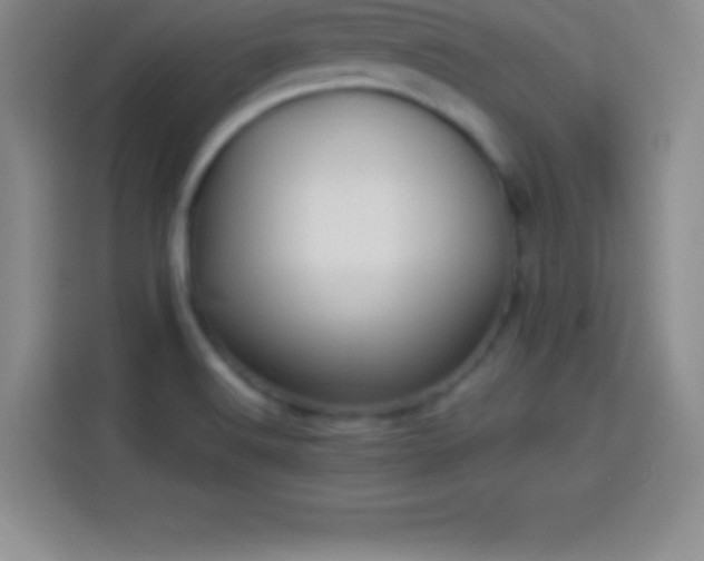 X0000113921516200910011502