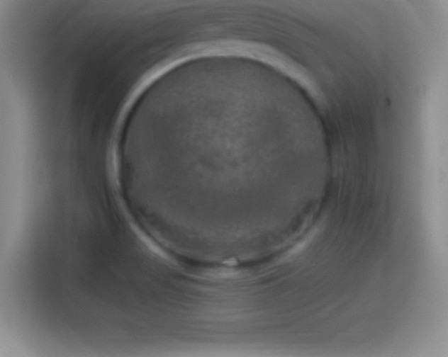 X0000113921517200910011502