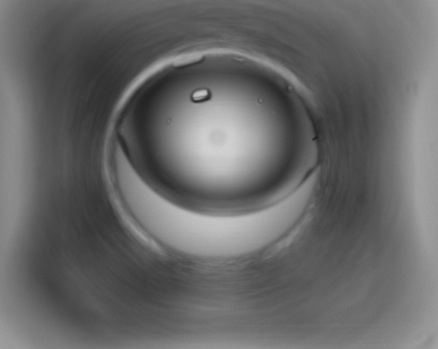 X0000113921518200910011502