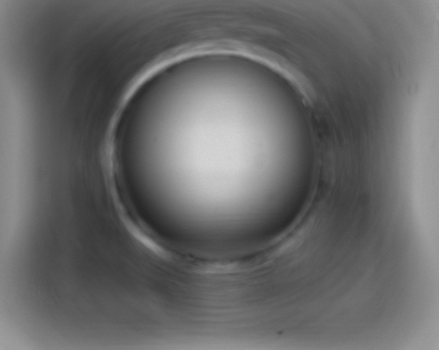 X0000113921519200910011502