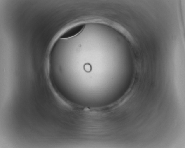 X0000113921520200910011502