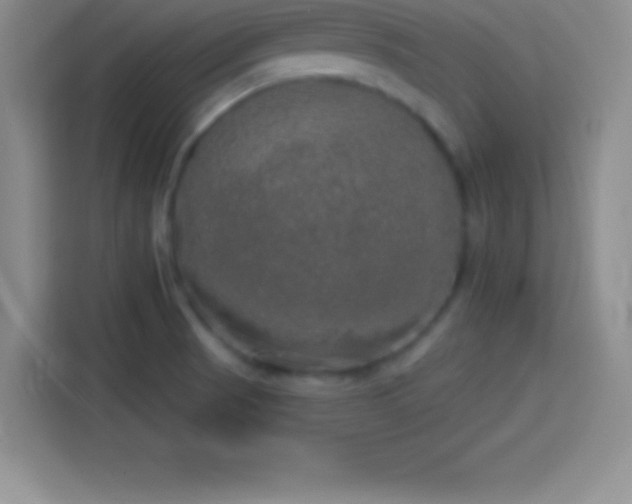 X0000113921521200910011502