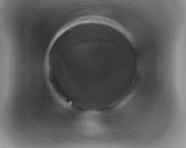 X0000113921522200910011502