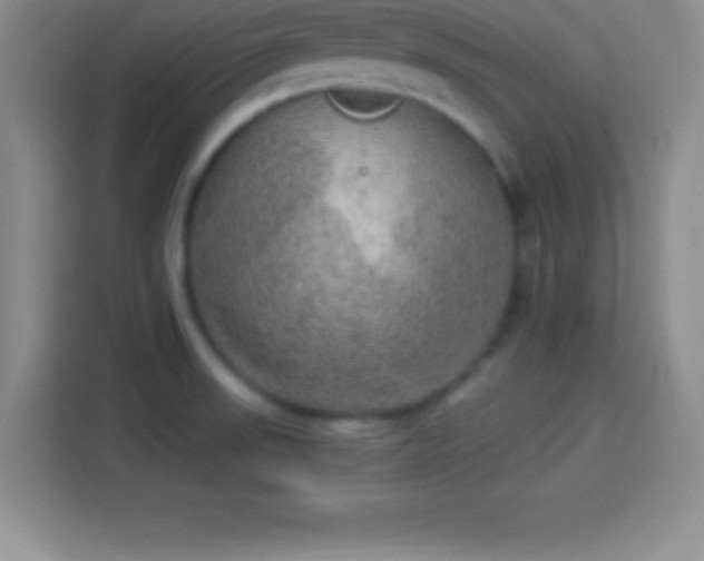 X0000113921523200910011502