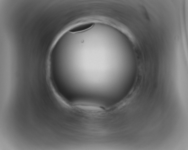 X0000113921524200910011502