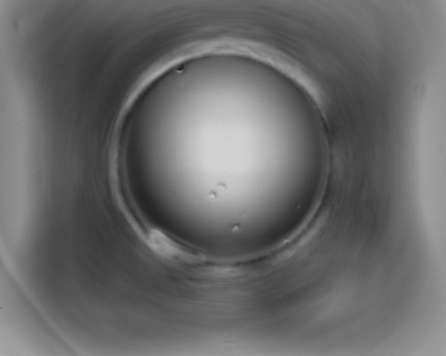 X0000113921525200910011502