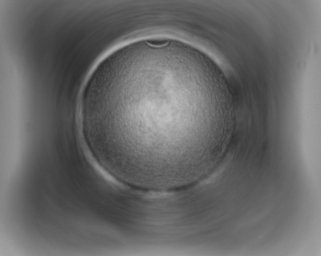 X0000113921526200910011502