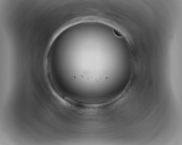 X0000113921527200910011502