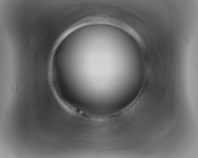 X0000113921528200910011502