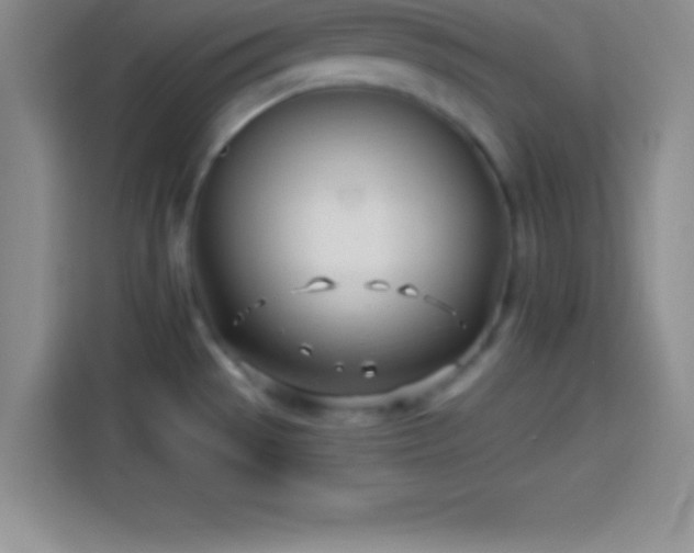 X0000113921529200910011502