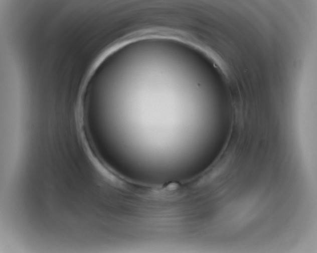 X0000113921531200910011502