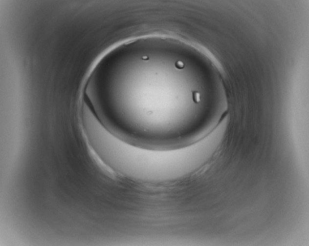 X0000113921532200910011502