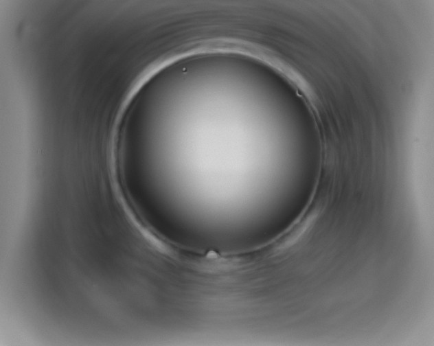 X0000113921533200910011502