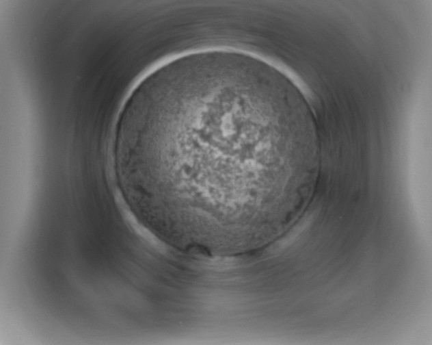 X0000113921534200910011502