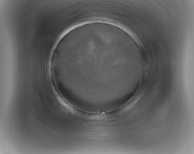 X0000113921535200910011502