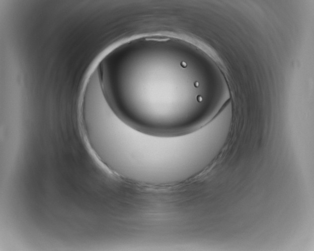 X0000113921536200910011502