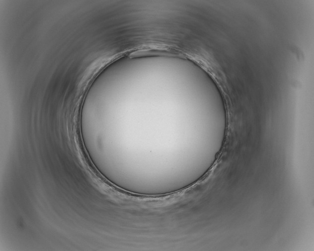 X0000113920001200910090946