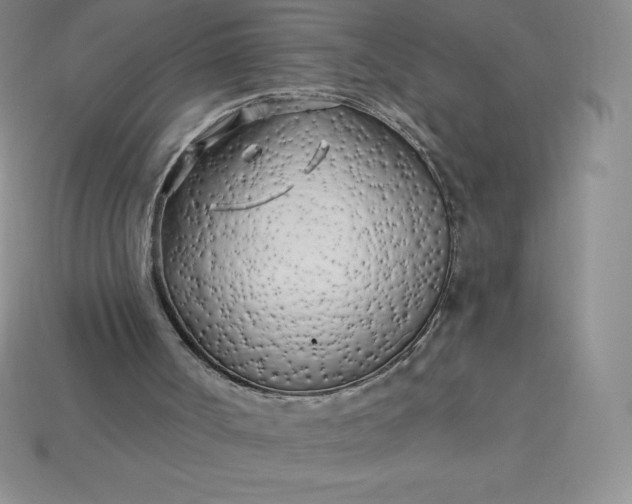 X0000113920002200910090946