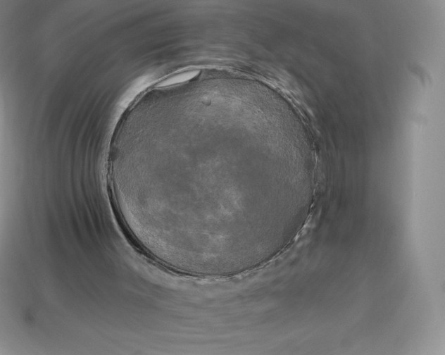 X0000113920003200910090946