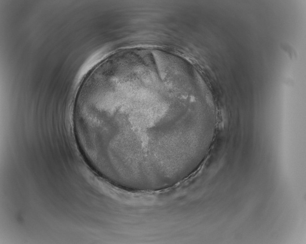 X0000113920004200910090946