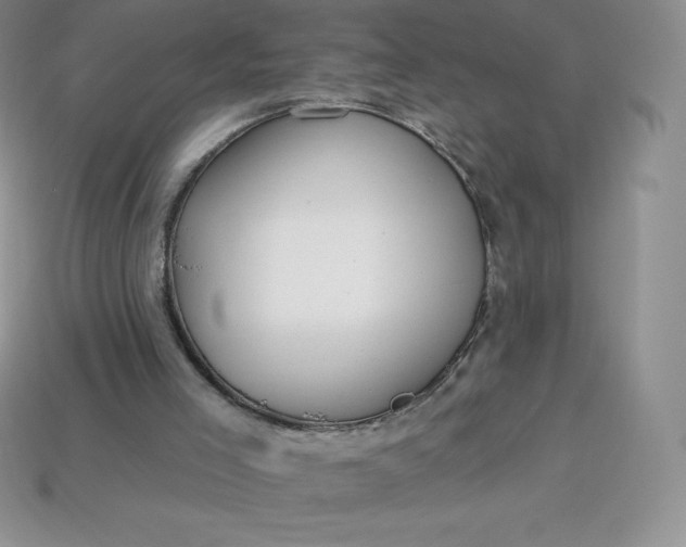 X0000113920005200910090946