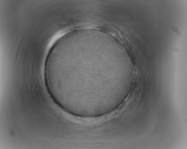 X0000113920006200910090946