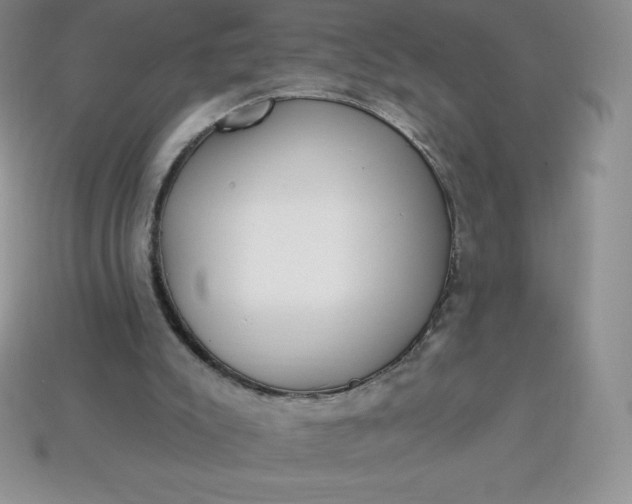 X0000113920007200910090946