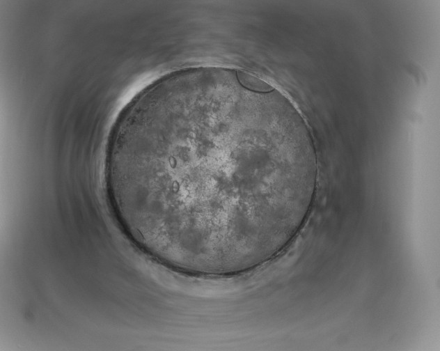 X0000113920008200910090946