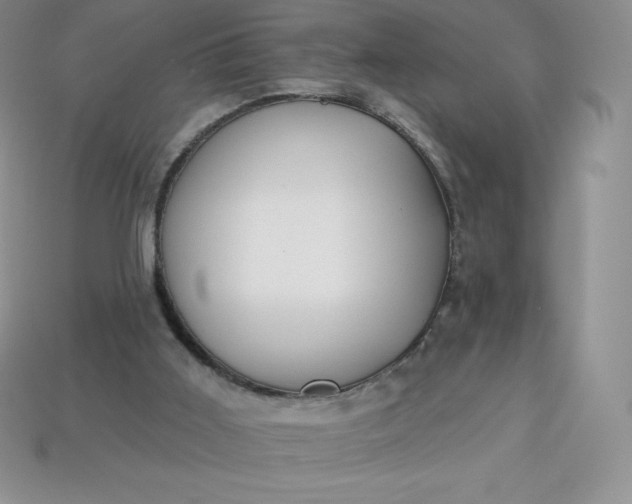 X0000113920011200910090946
